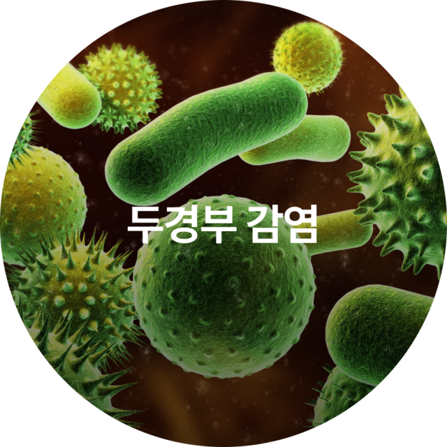 두경부 감염
