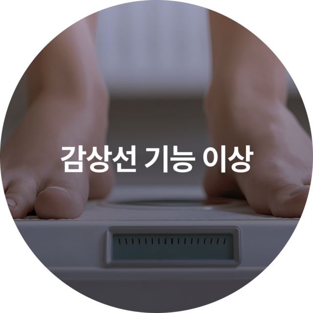 갑상선 기능 이상